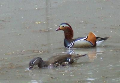 Прикрепленное изображение: mm1.jpg